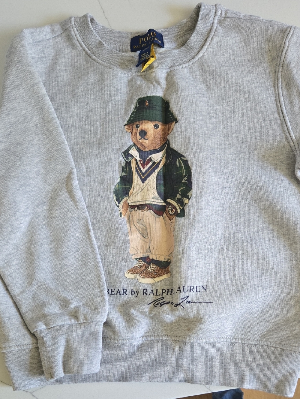 Polo by Ralph Lauren Kids Bear  Sweatshirt with Graphic Bear